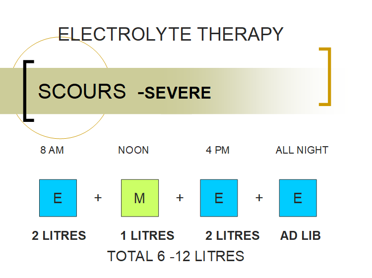 electrolyte-therapy-severe