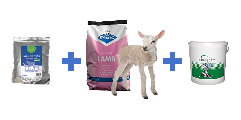 Launchpad18 + Sprayfo Primo Lamb + Biopect = a winning formula