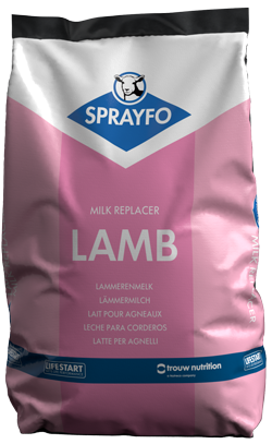 Sprayfo Primo Lamb